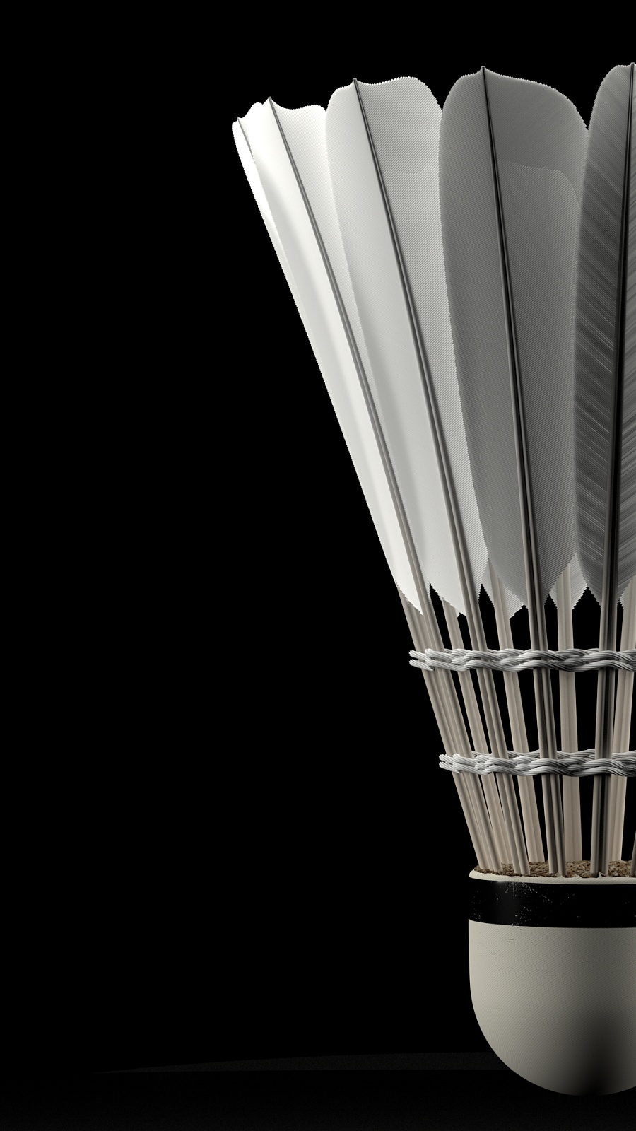 道环境进行 道环境进行