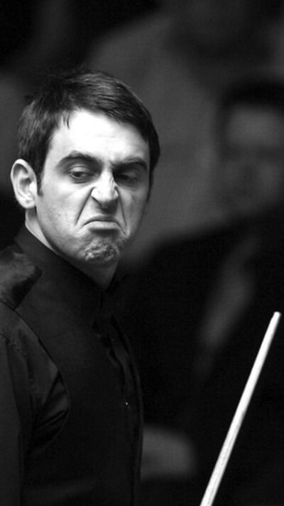 们增添了动 们增添了动